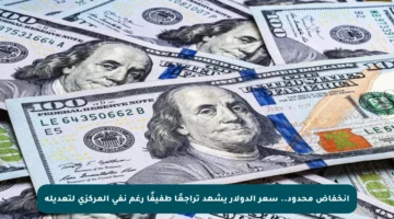 انخفاض محدود.. سعر الدولار يشهد تراجعًا طفيفًا رغم نفي المركزي لتعديله